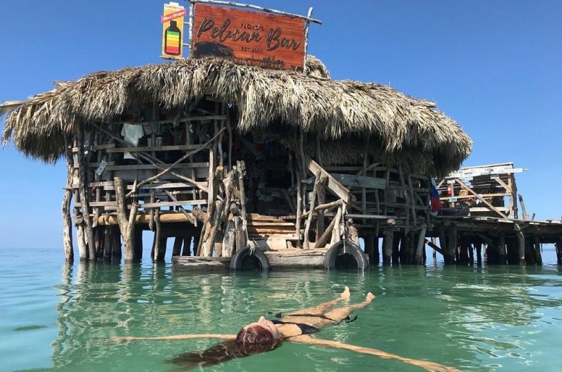 Pelican bar